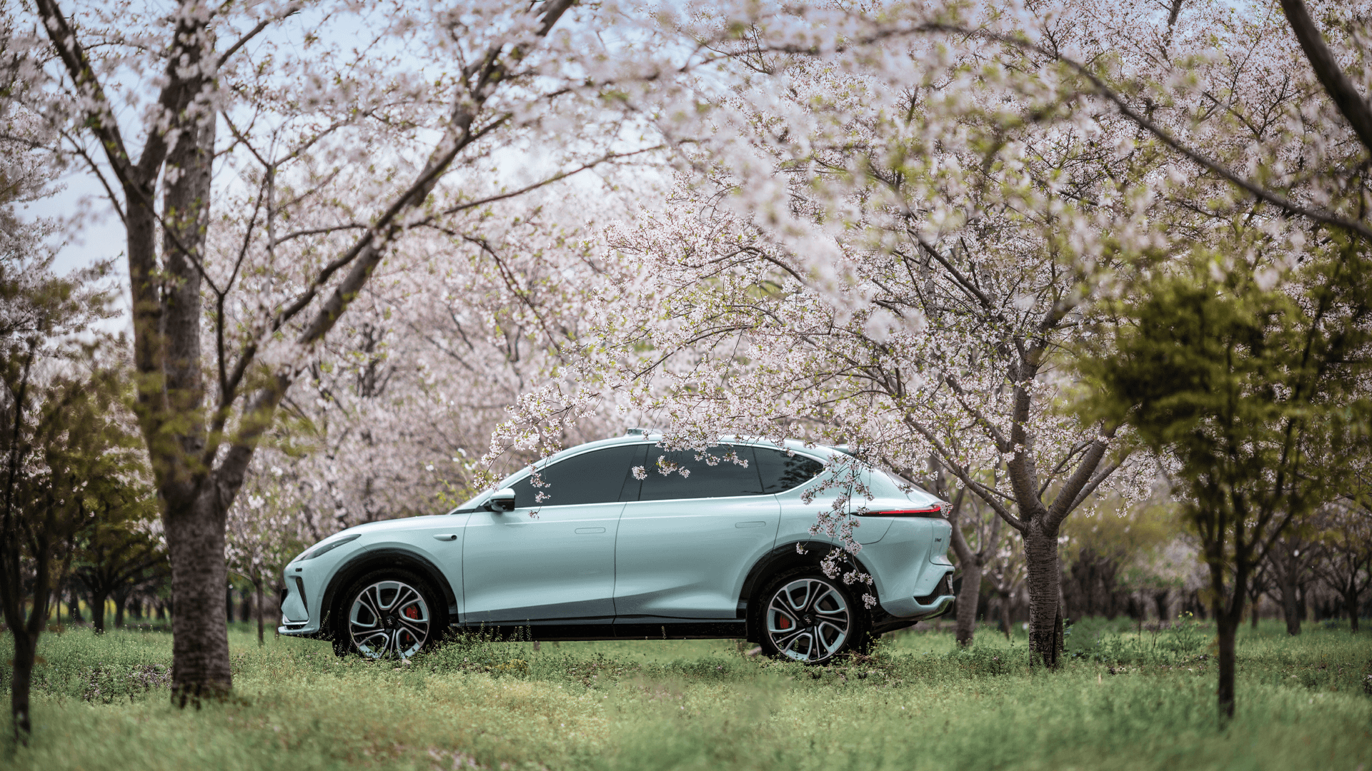 person driving car futuristic