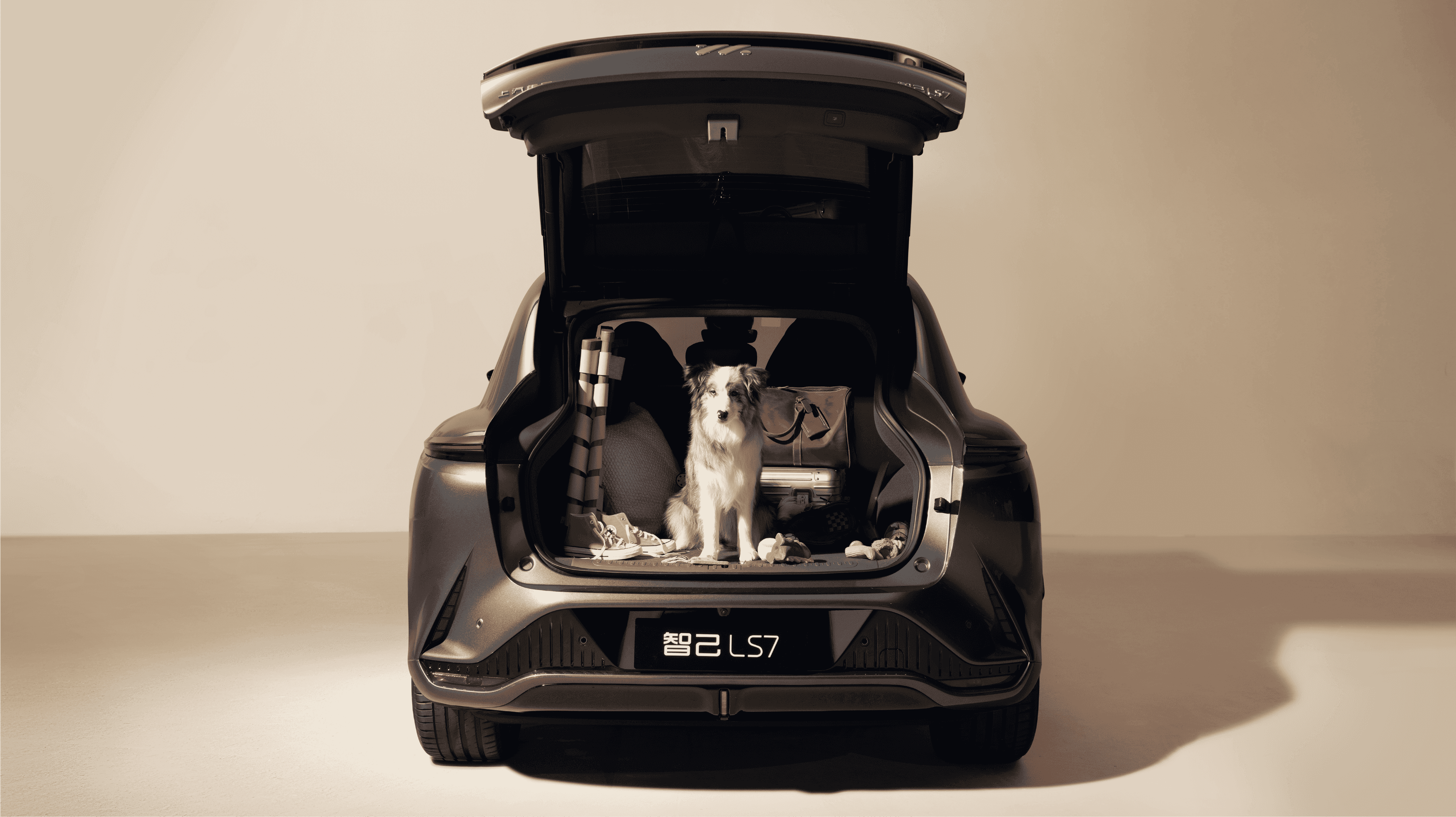 ფსდფსდფ